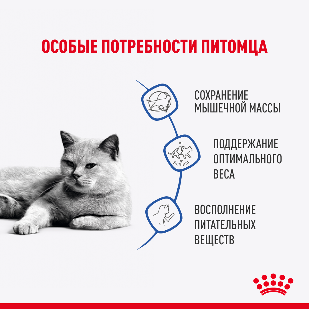 Royal Canin Light Weight Care влажный корм для кошек, при избыточном весе,  в соусе (28шт в уп) — купить по доступной цене с доставкой