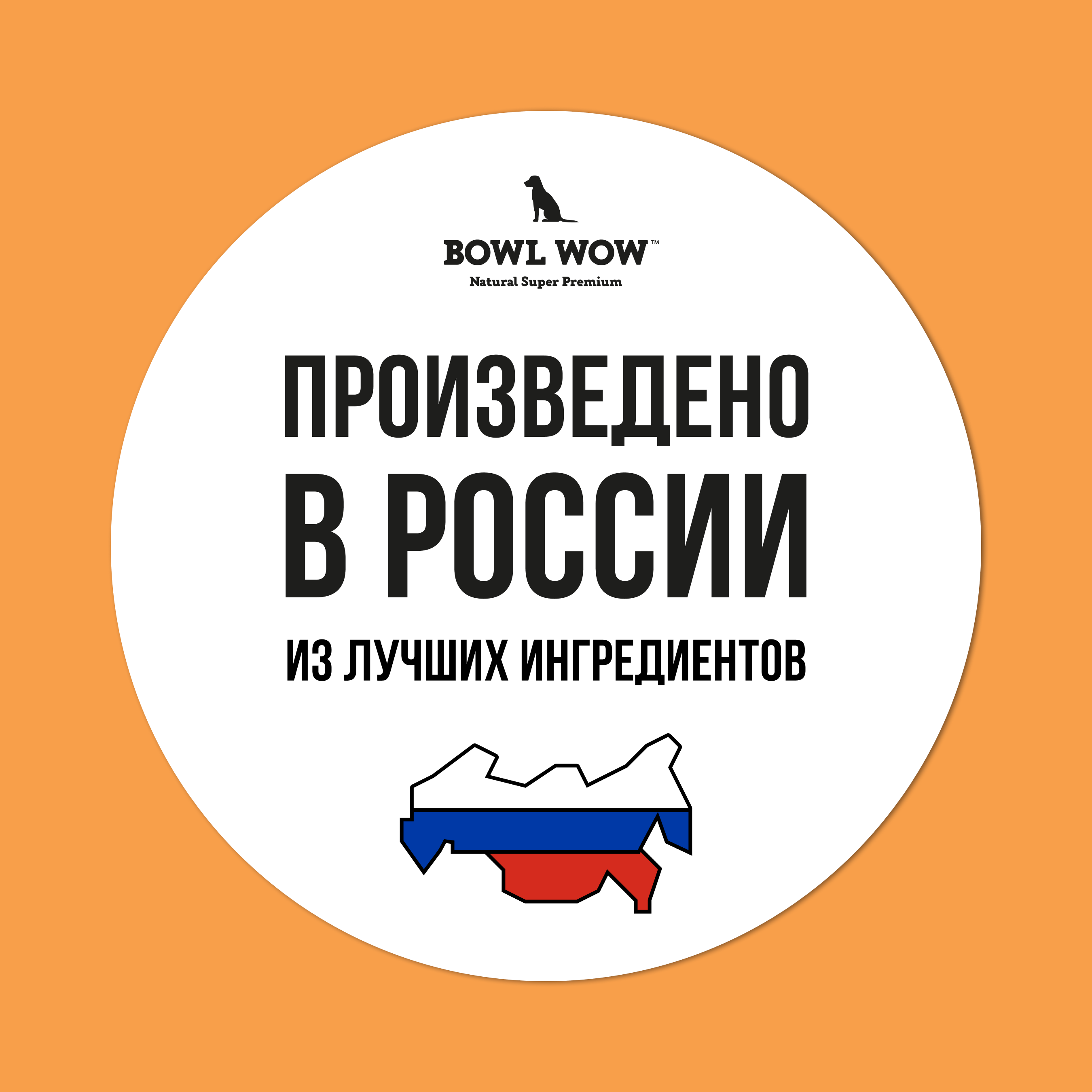 Сделано в России (7)