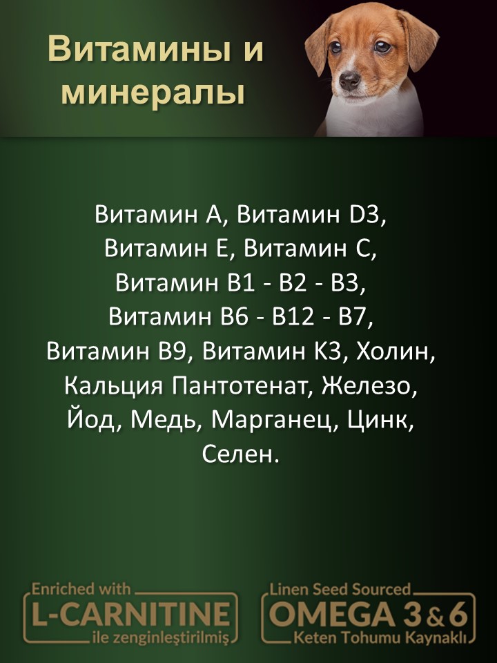 БИ_000259_3