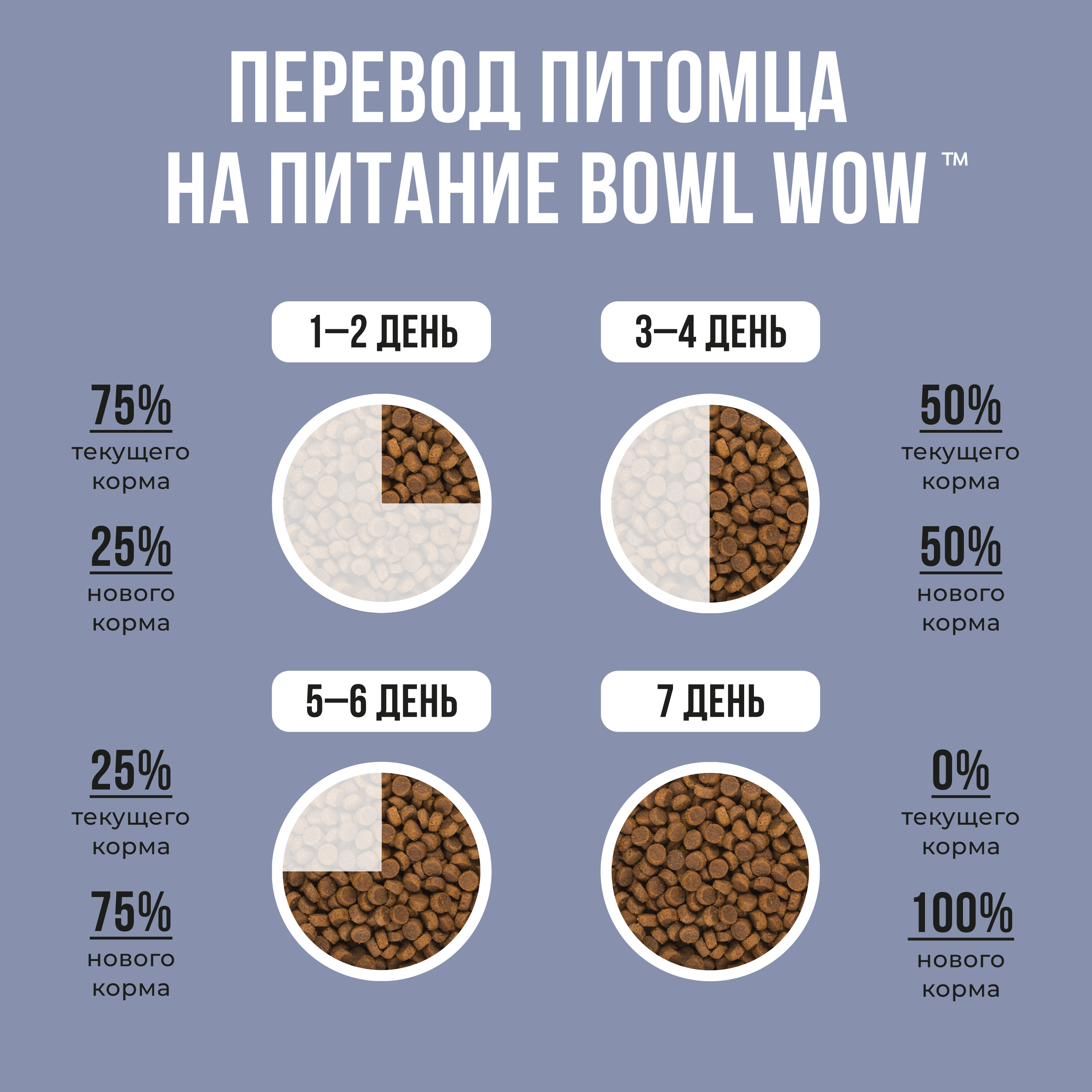 Bowl Wow корм для котят, с индейкой, курицей и добавлением черники — купить  по доступной цене с доставкой