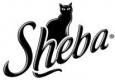Sheba Sheba