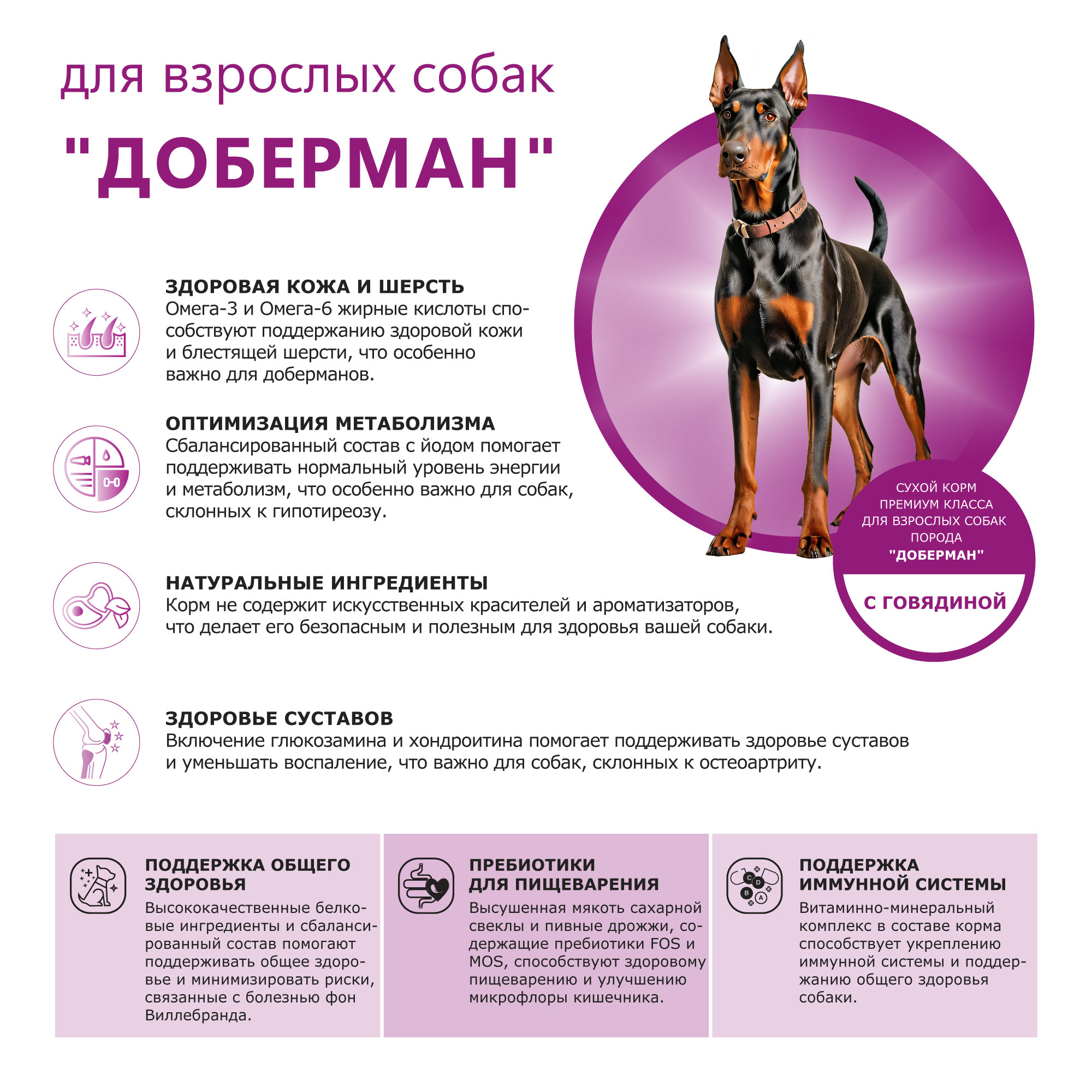 pic-2-говядина (4)