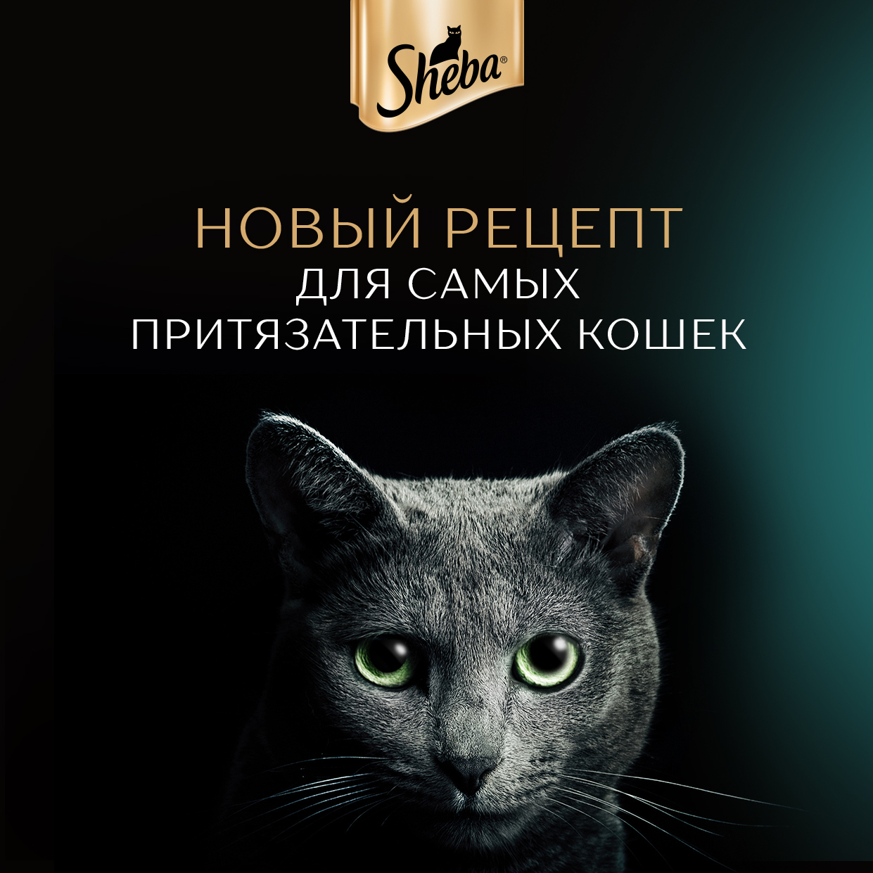 Sheba влажный корм для кошек, ломтики в соусе с кроликом и индейкой (28шт в  уп) — купить по доступной цене с доставкой