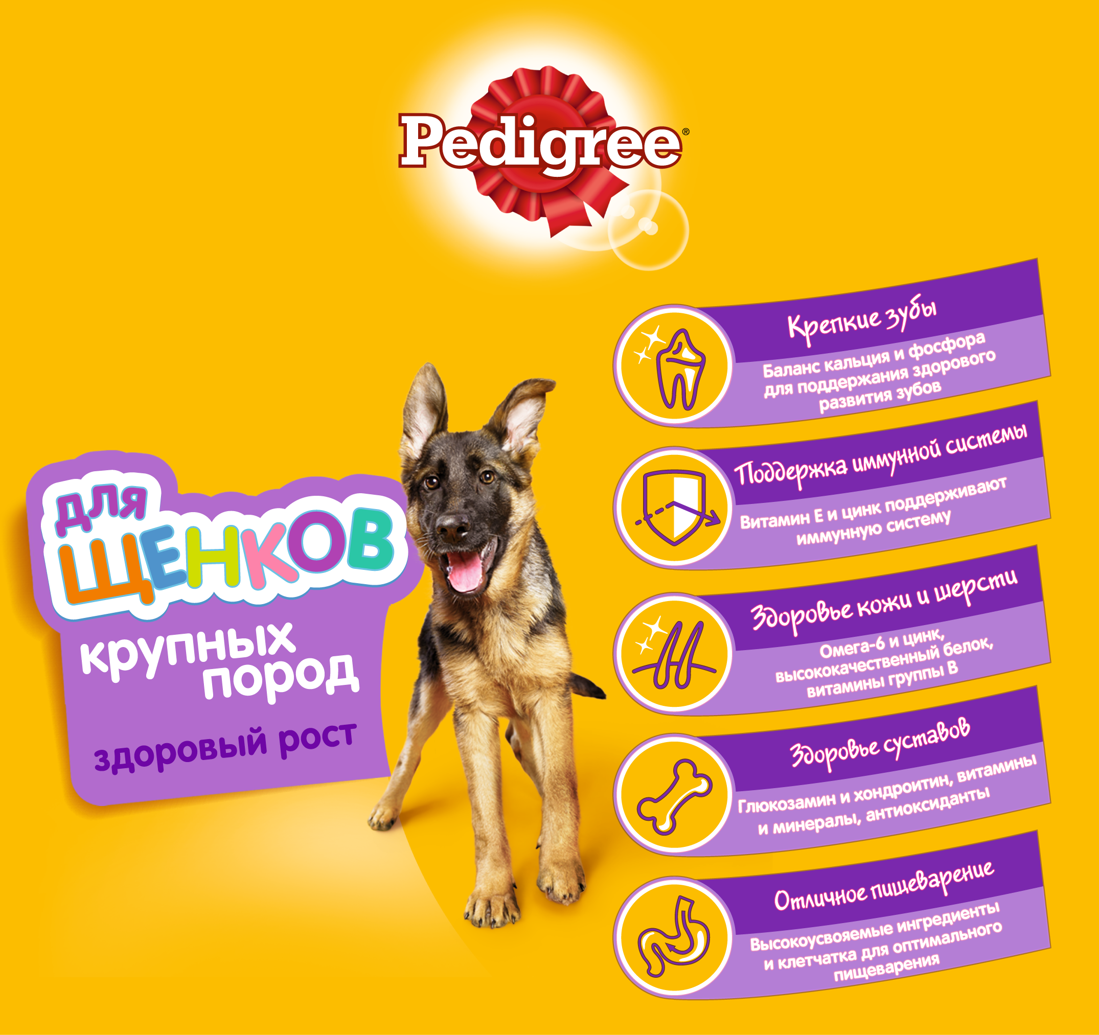 FeedAndClaims_Claims_PEDIGREE_Dry_Puppy_large_Chicken