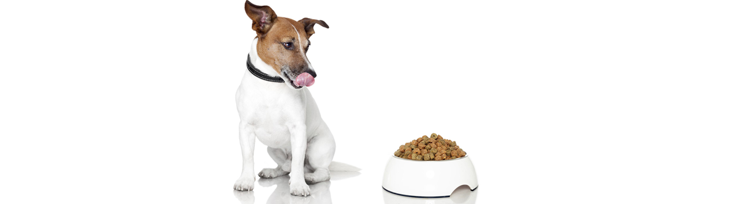 Раздел сухие корма для собак