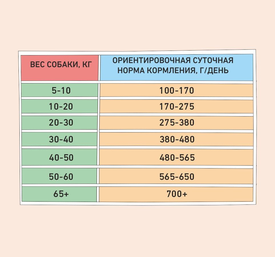 4650096352055_3