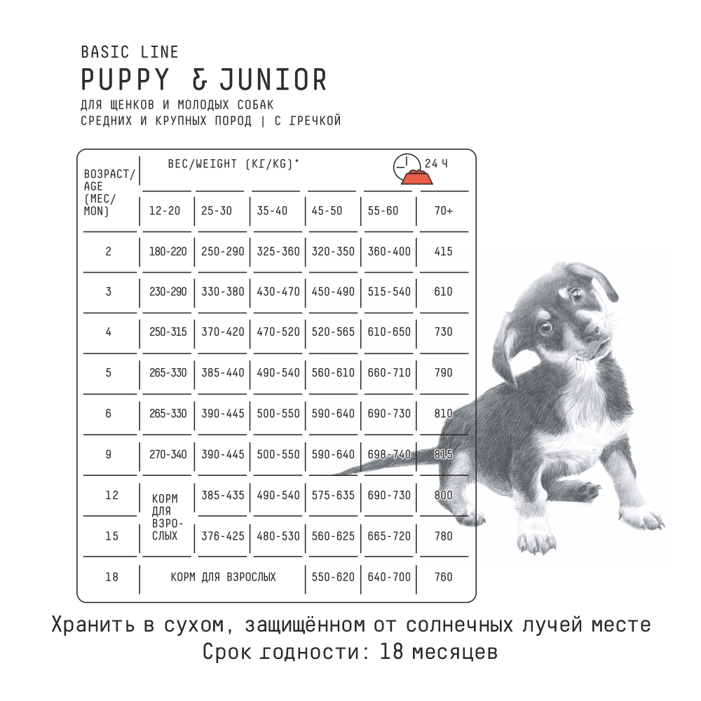 MP_Cards _AJO_Puppy Jr  3