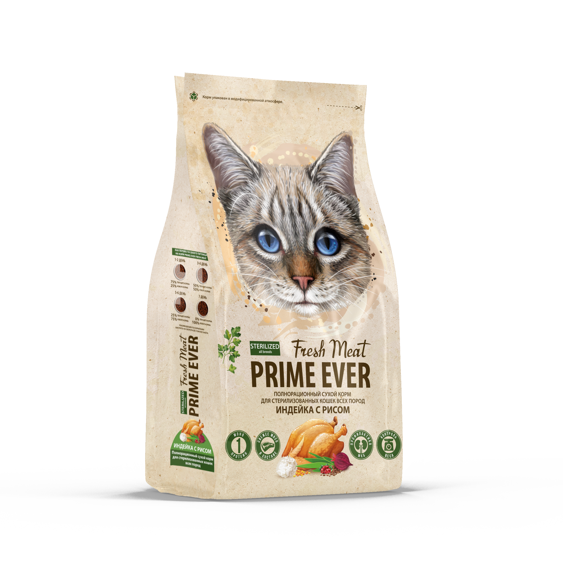 Cat STERILIZED_бок