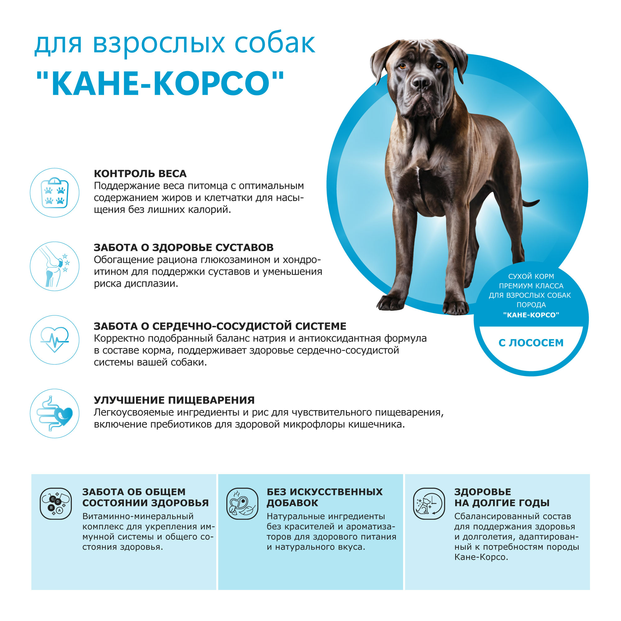 pic-2-лосось (8)