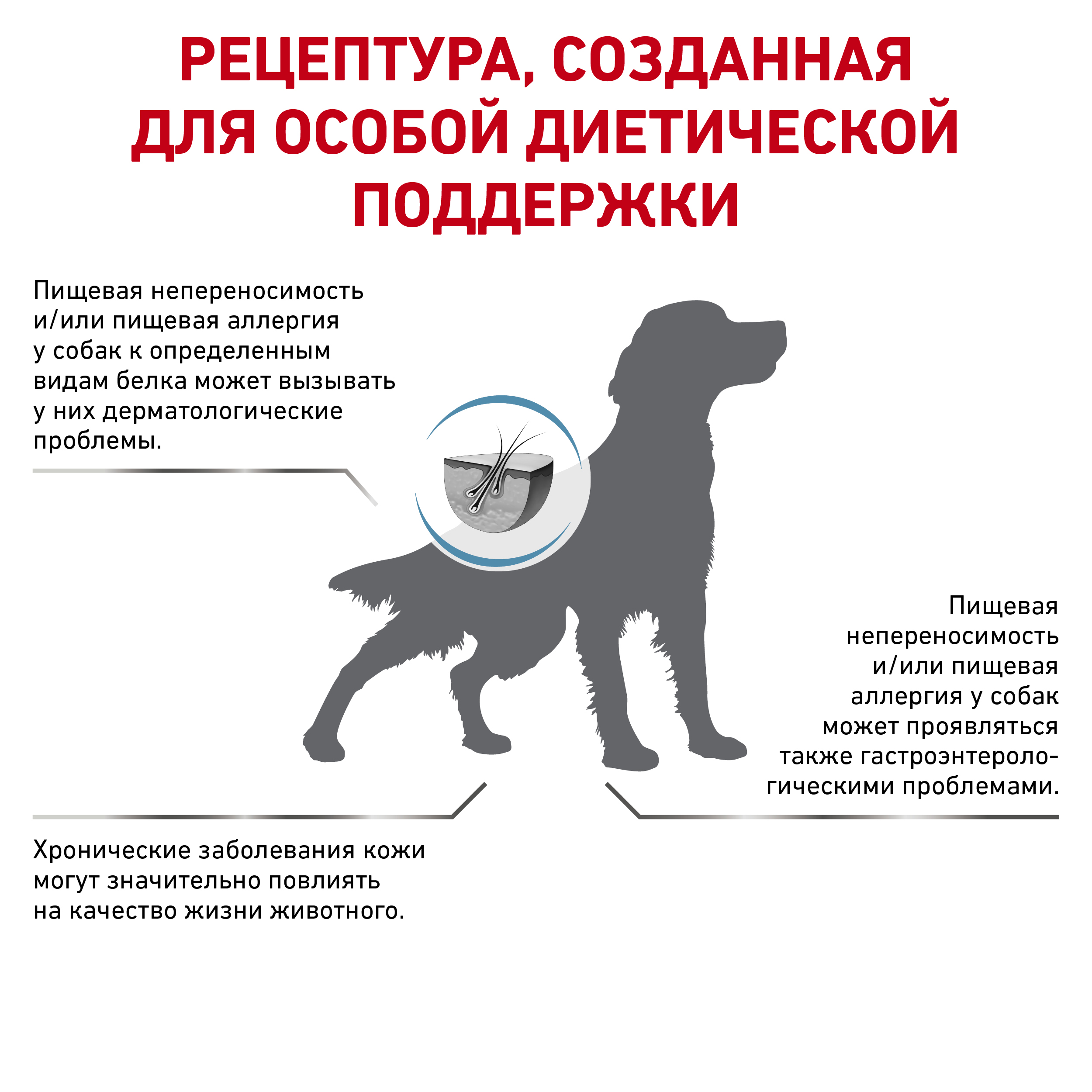 Royal Canin корм для собак крупных и средних пород при пищевой аллергии и  неперенесимости — купить по доступной цене с доставкой