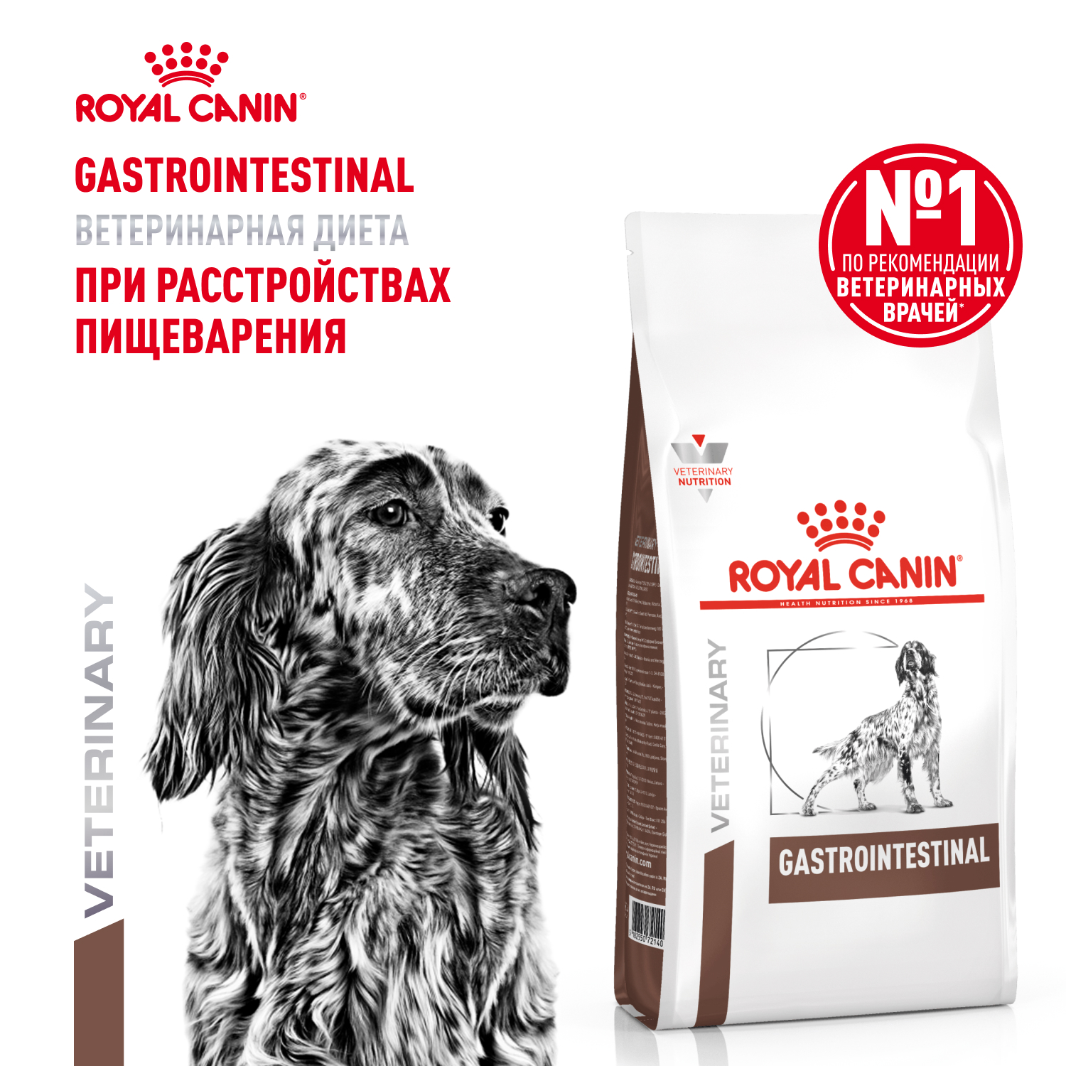 Dog_Gastrointestial_Dry_1-VET14