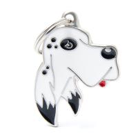 Английский Сеттер