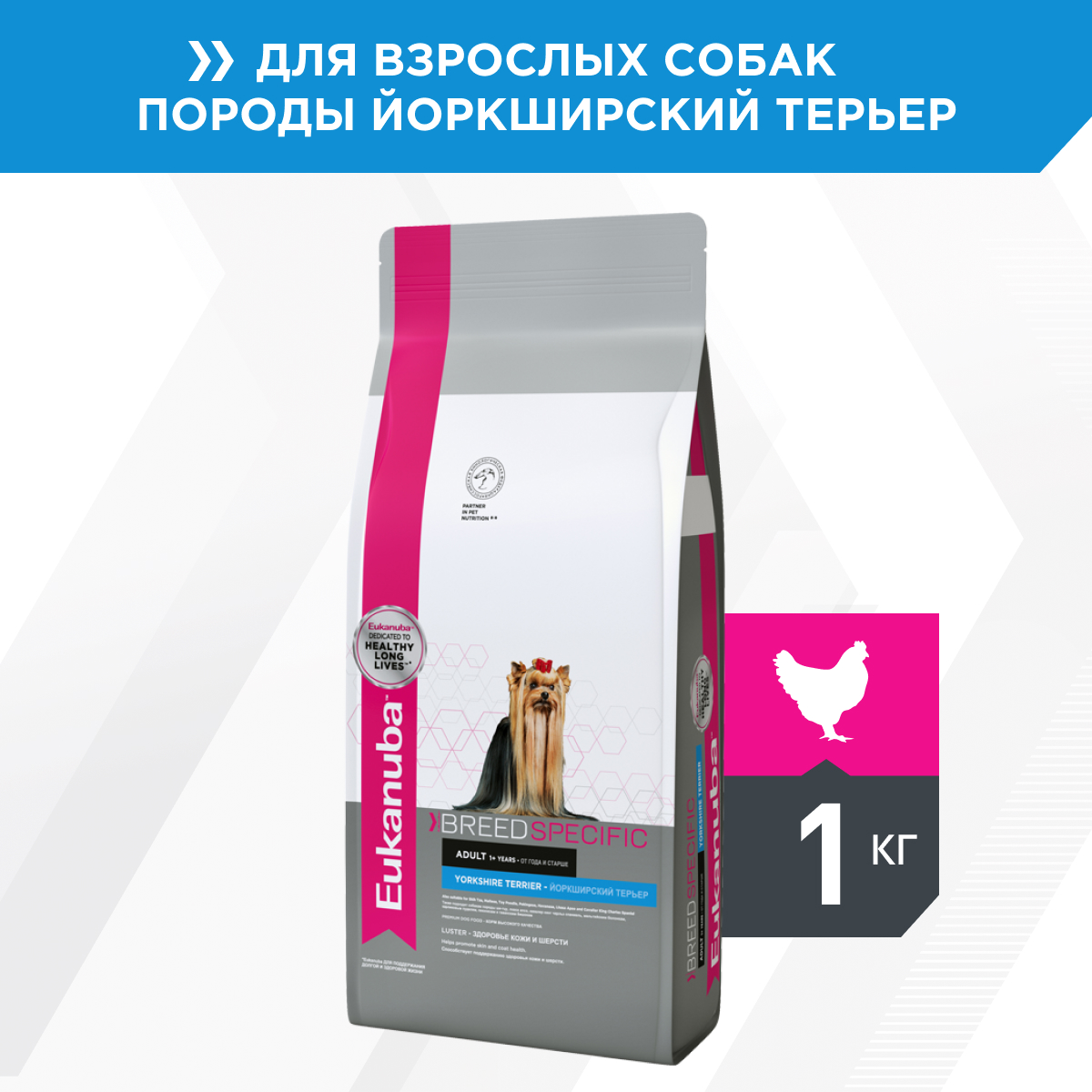 Eukanuba корм для взрослых собак породы Йорк, птица (1 кг)