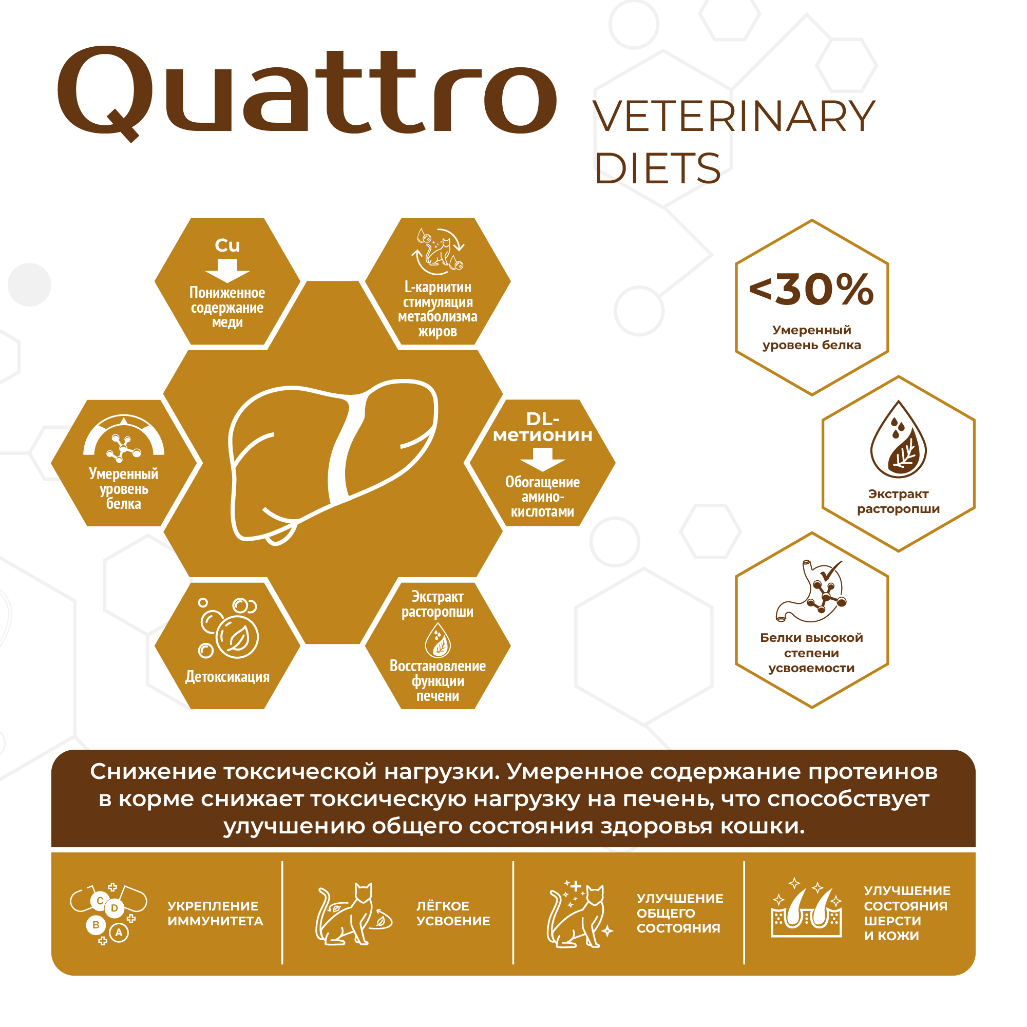 Quattro_Vet_11SKU_cards_2000px-34