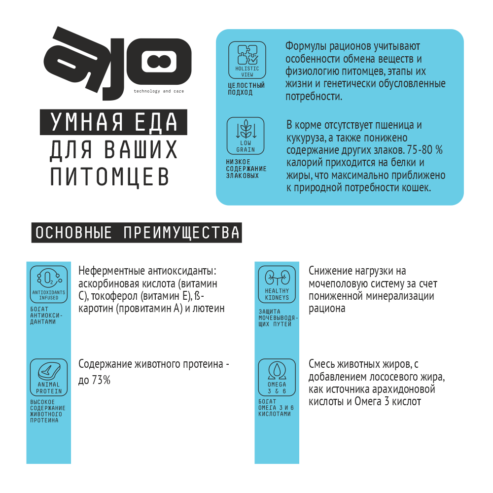 MP_Cards _AJO_Aktive 4