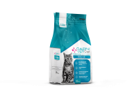STRUTIVE CAT FRONT copy