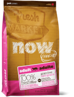 Now-Cat-Adult