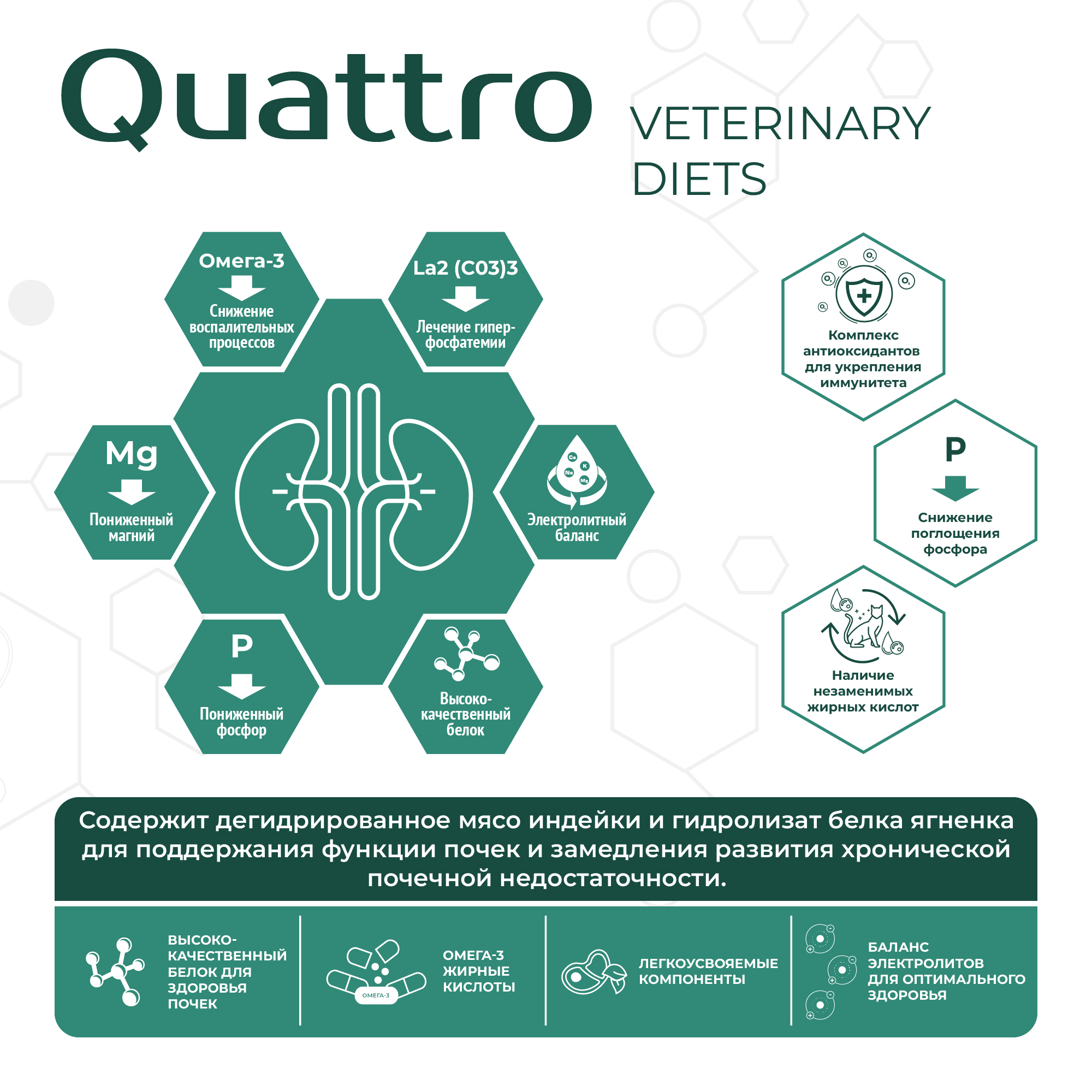Quattro_Vet_11SKU_cards_2000px-10
