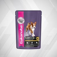 8-WET-DOG-PUPPY-CHIСKEN