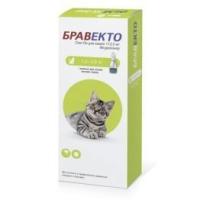 0ec2d911eb215d5643f6407ff02261d7-262x262