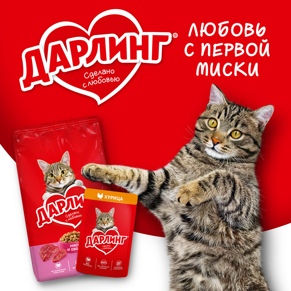 872099c5-6786-45dc-9983-8d25bc871ed6