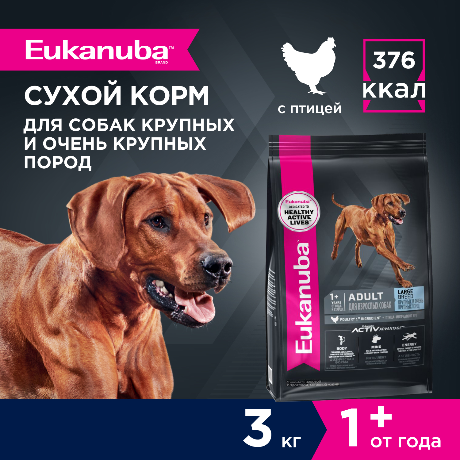 2-3kg-dry_Adult-Large-Breed