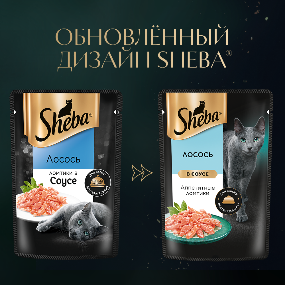 Влажный корм для кошек и котов купить с доставкой | Интернет-зоомагазин  PetFood.ru