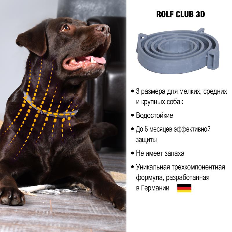 Rolf Club3D_ОшейникСобаки_6