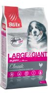 Blitz-Puppy-LG-2kg--face