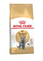Royal Canin British Shorthair 34