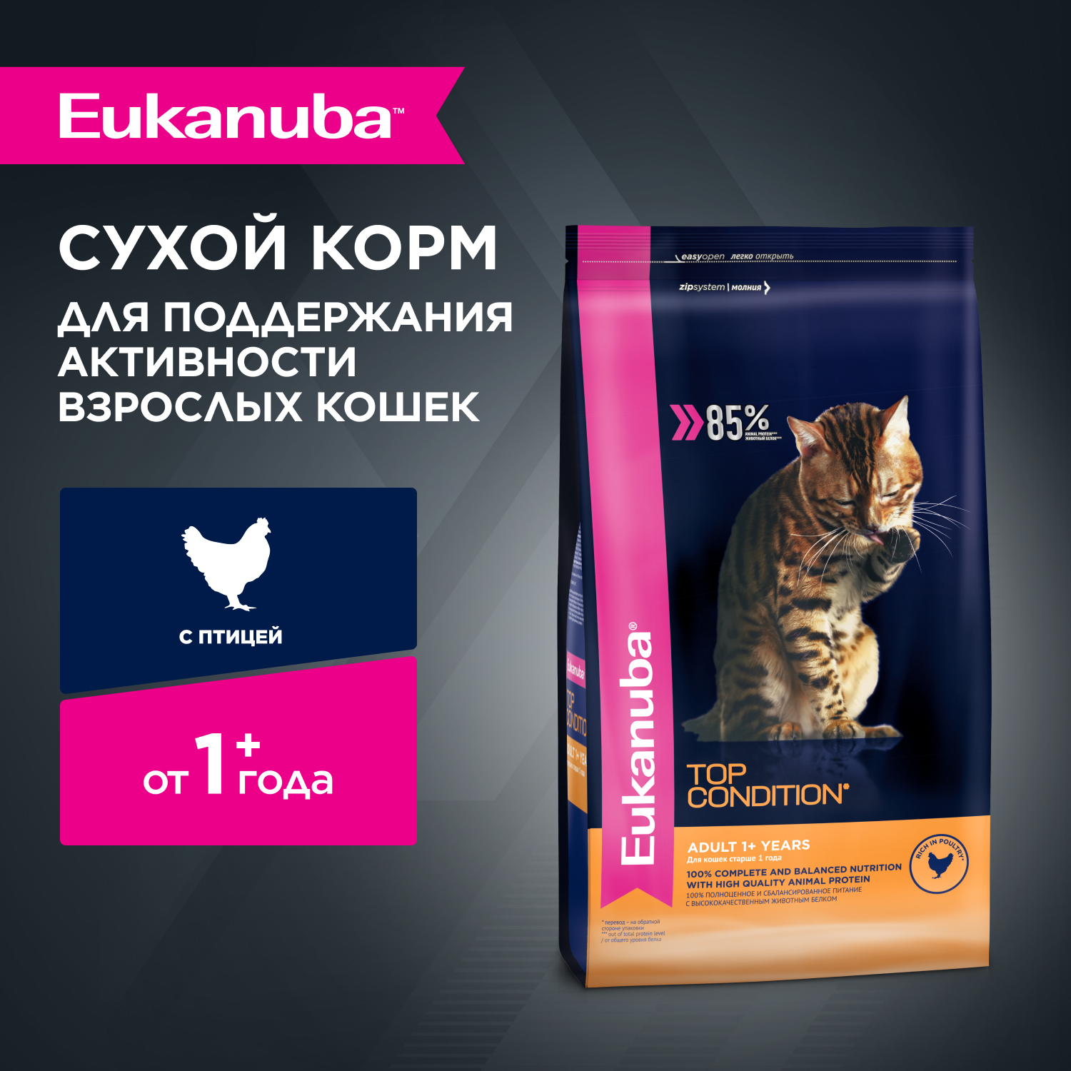 1-CAT-DRY-TOP-CONDITION-1x1