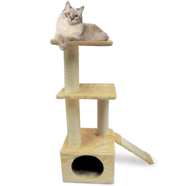 Triol комплекс-когтеточка 