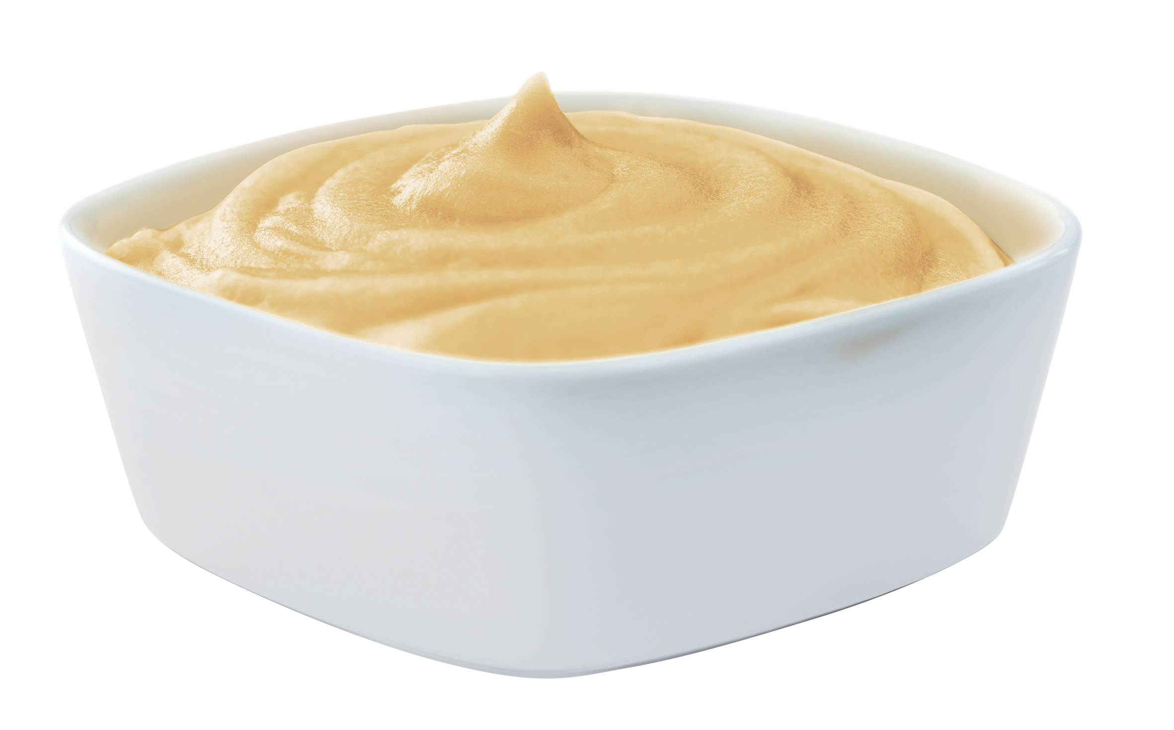 72510025-k-puree_salmon