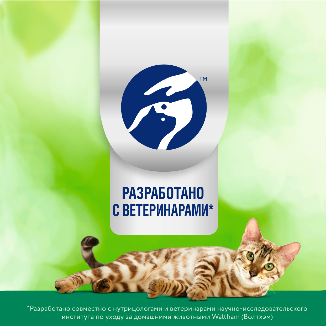 PF_Imm_ECOMM_2023.04.12_17