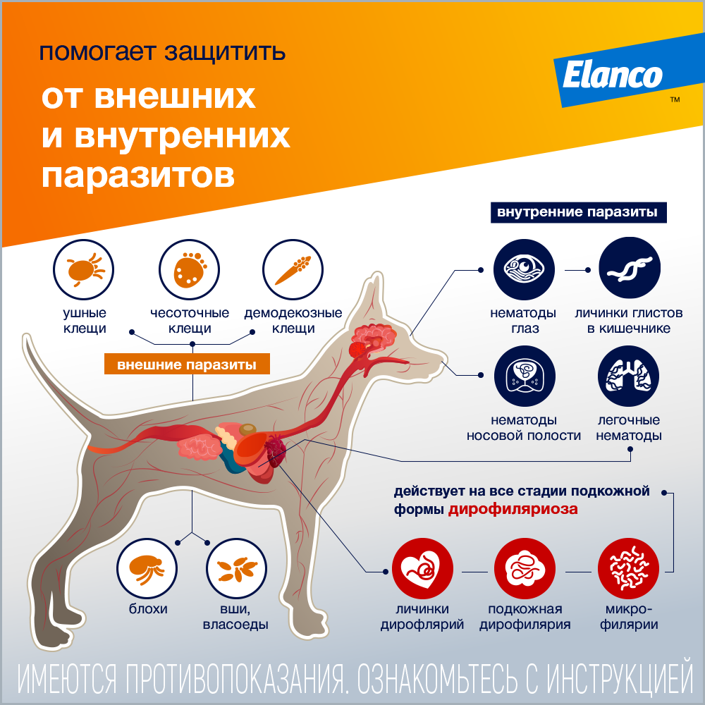 3. Advocate_dog_parasites