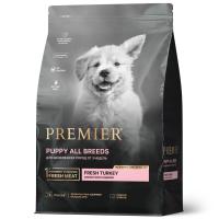 Premier_puppy