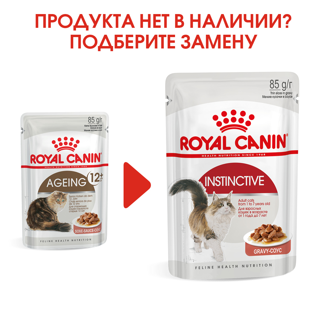 Сколько живут коты?