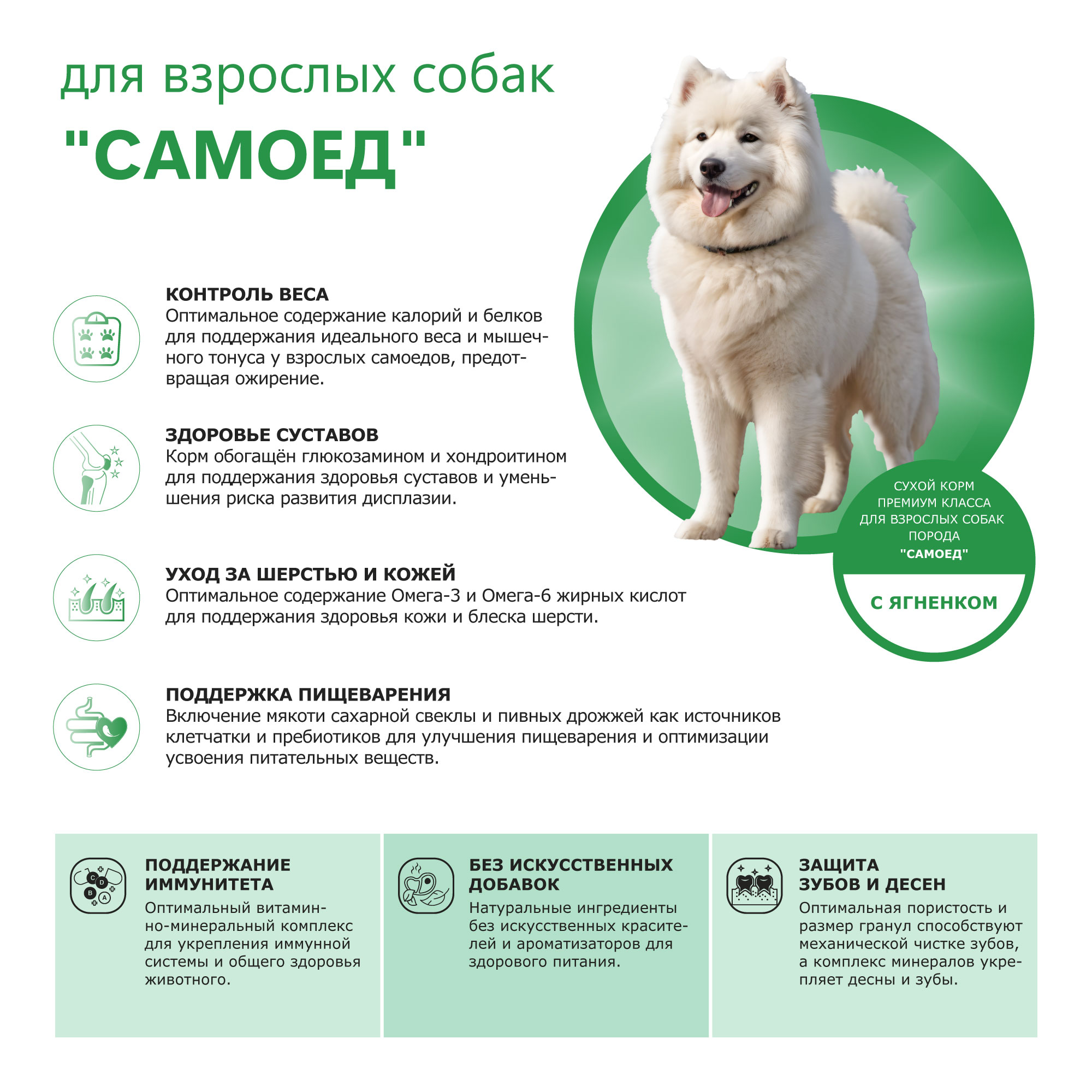 Quattro корм для взрослых собак породы Самоед, с ягненком