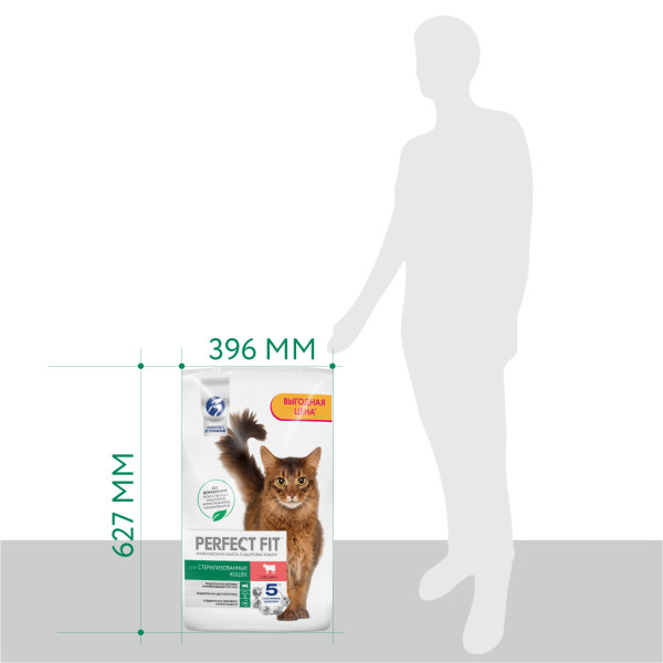 kg2bmuafuhhqzifxkrky