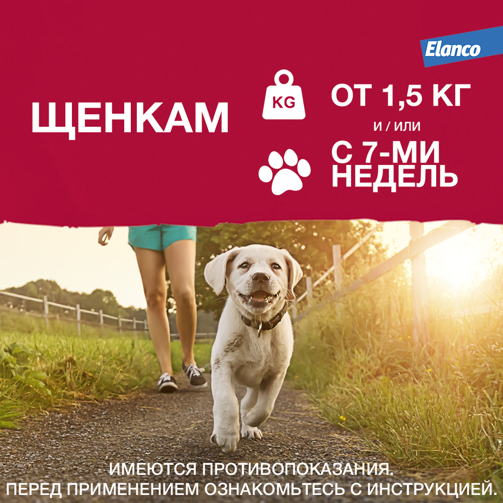 9.Advantix dog 25-40 1pip_puppy