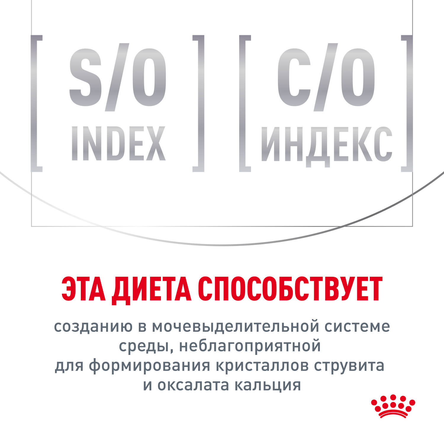 09_Cat_Satiety_weight_management_Dry