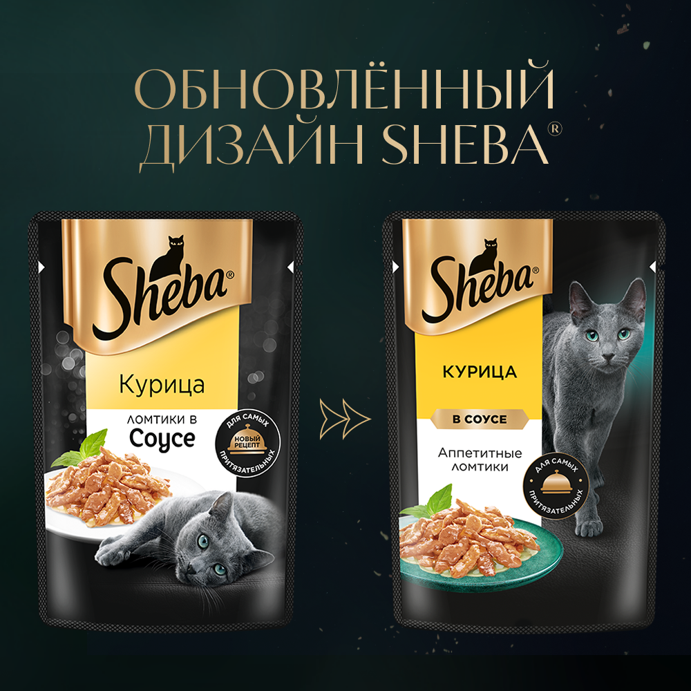 sheba_курица в соусе