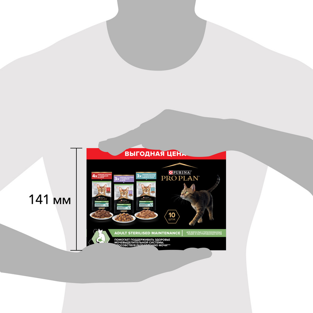 c758e3fa-0fde-43d9-8c61-7991070a8a58