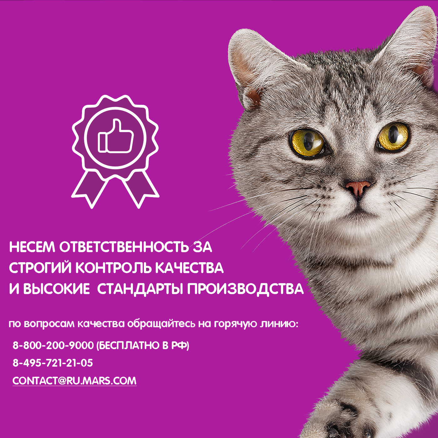 Call_v3 copy