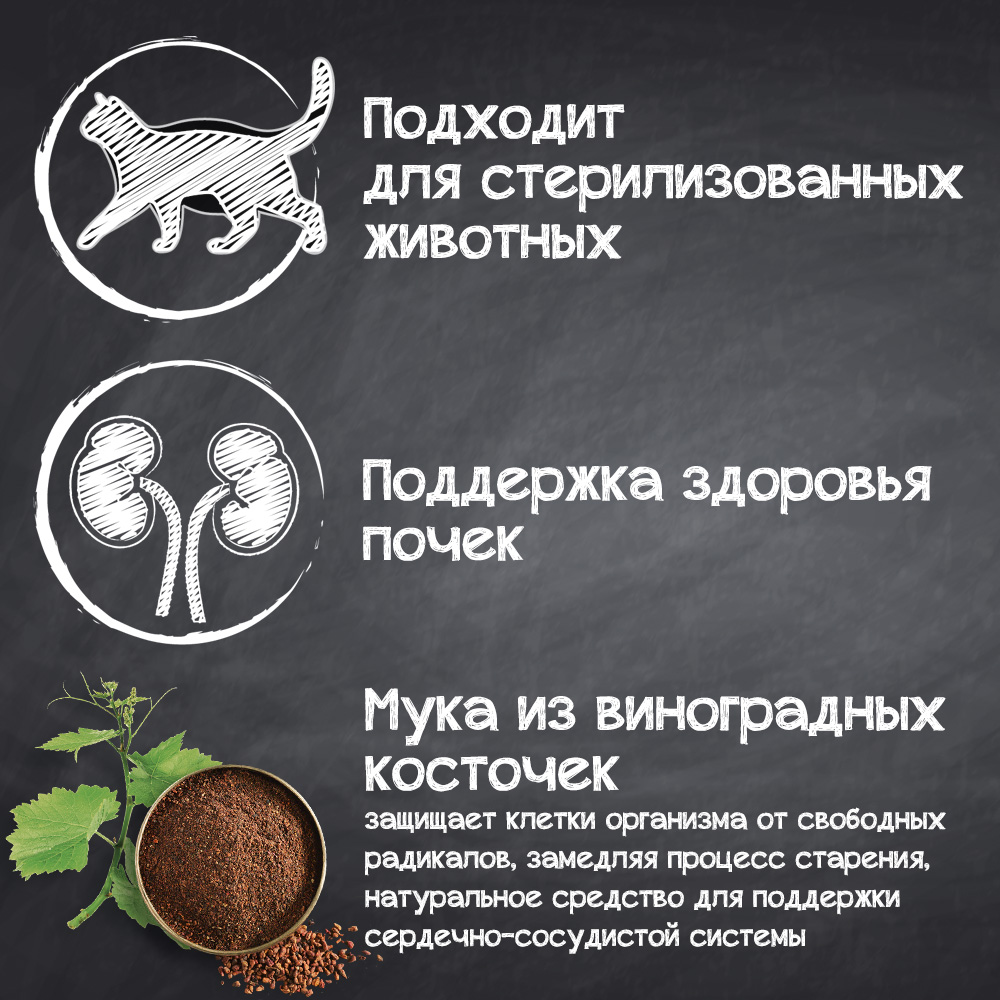 Leonardo Senior info2