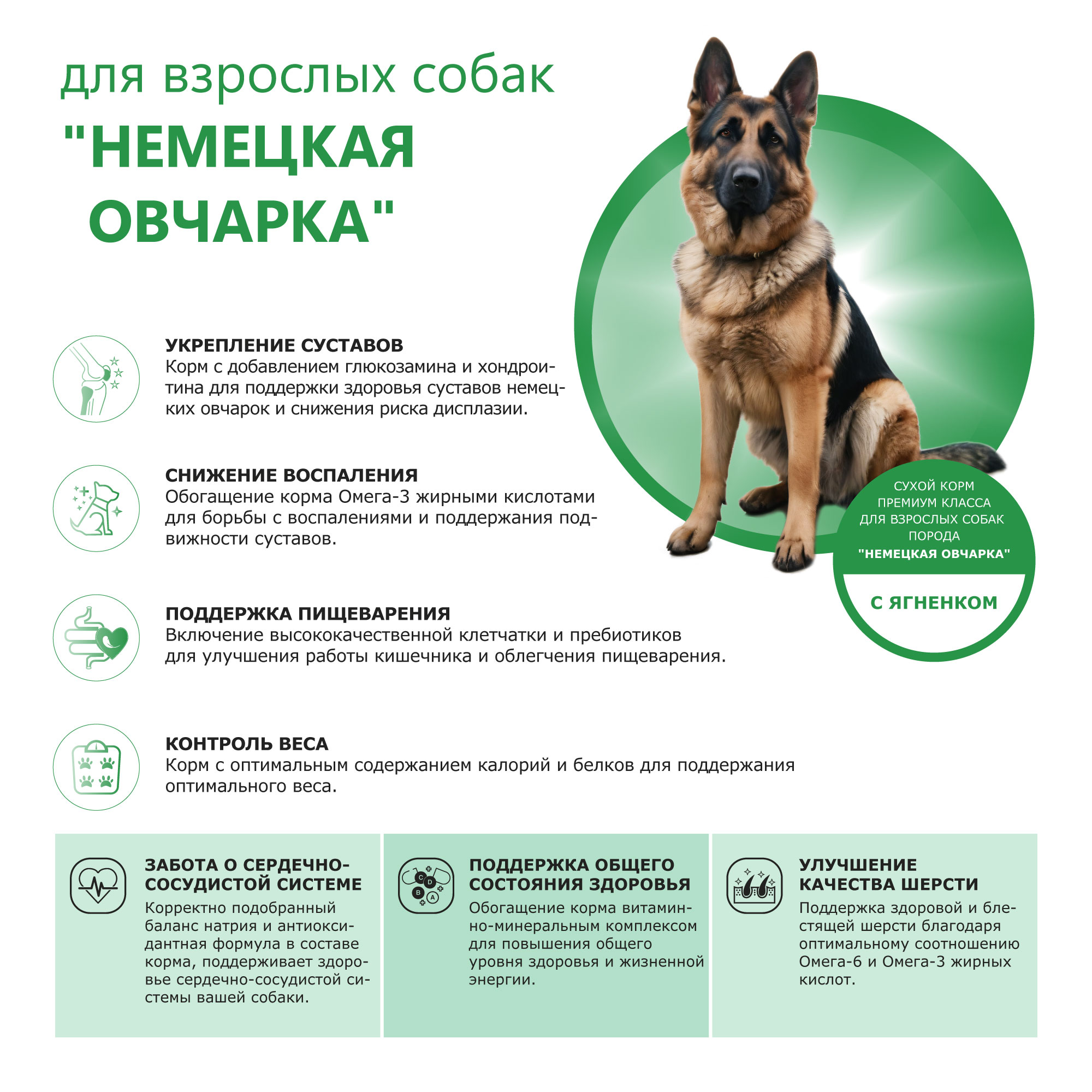 Quattro корм для взрослых собак породы Немецкая овчарка, с ягненком