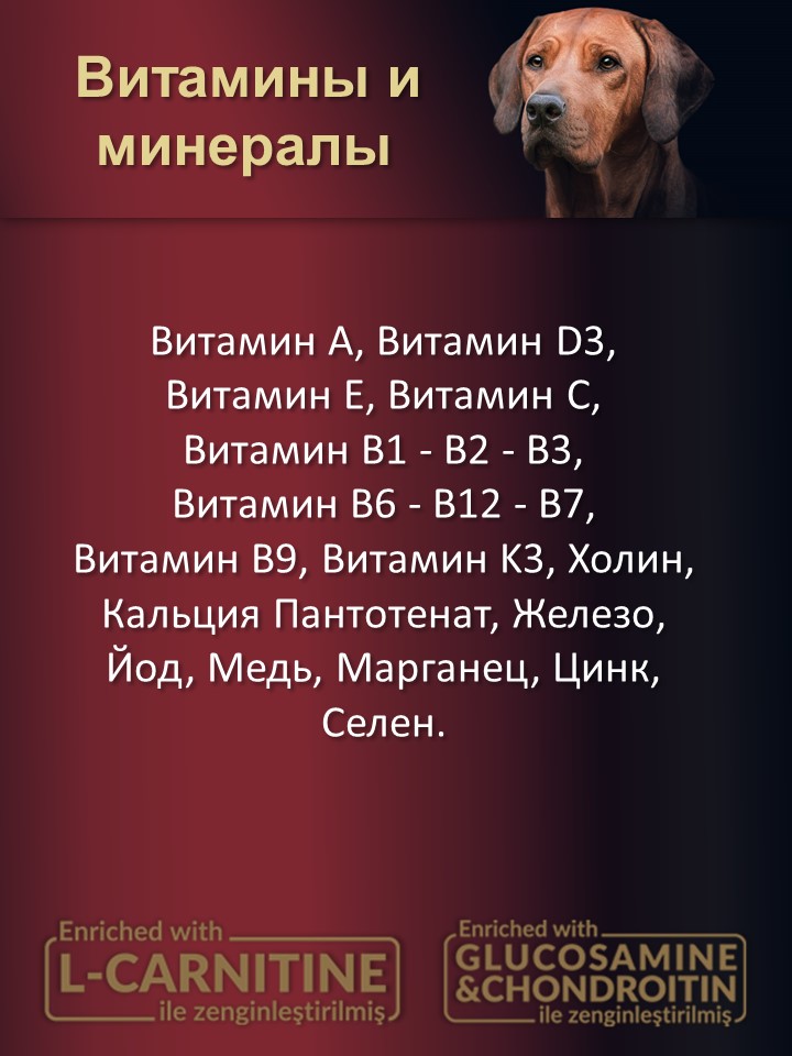 БИ_000252_3