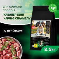 Quattro корм для щенков породы Кавалер кинг чарльз спаниель, с ягненком