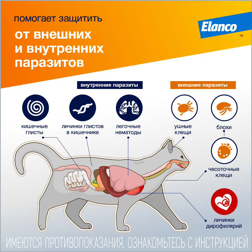 Средства от блох и клещей для кошек и котов купить с доставкой |  Интернет-зоомагазин PetFood.ru