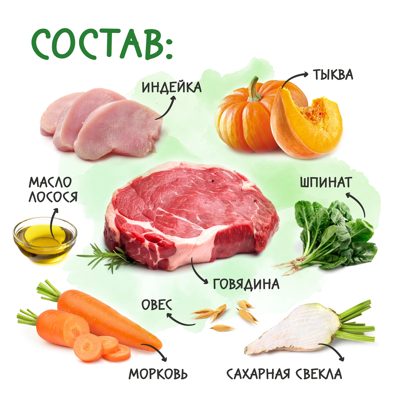 JP_fun_all_cards_2000px-21